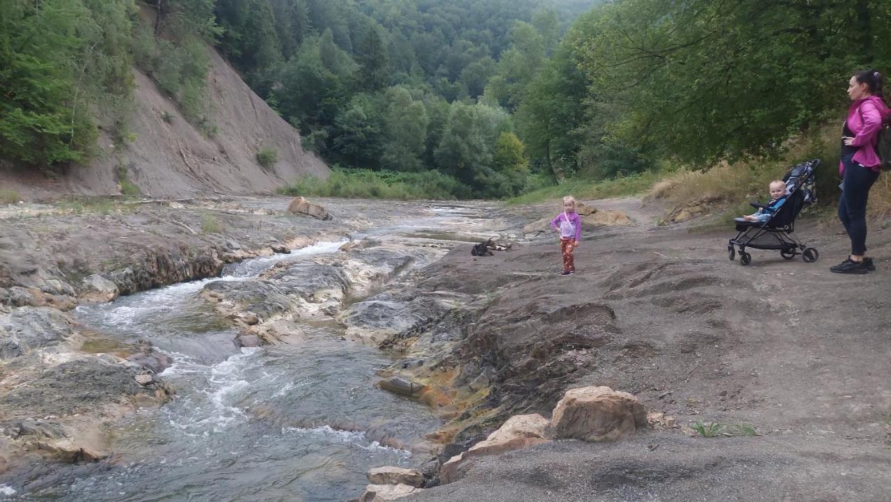 Садиба Федорчуків Гірська Хатина 1 Sheshory Buitenkant foto
